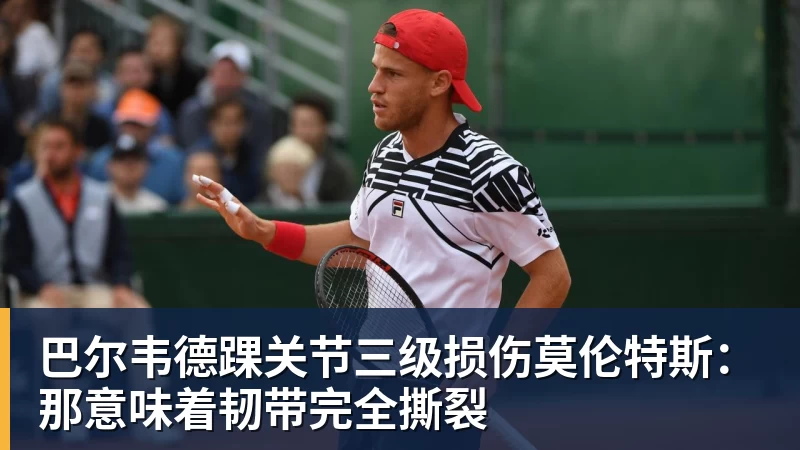 米兰体育巴尔韦德踝关节三级损伤莫伦特斯：那意味着韧带完全撕裂